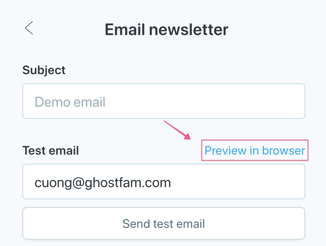 Preview Email