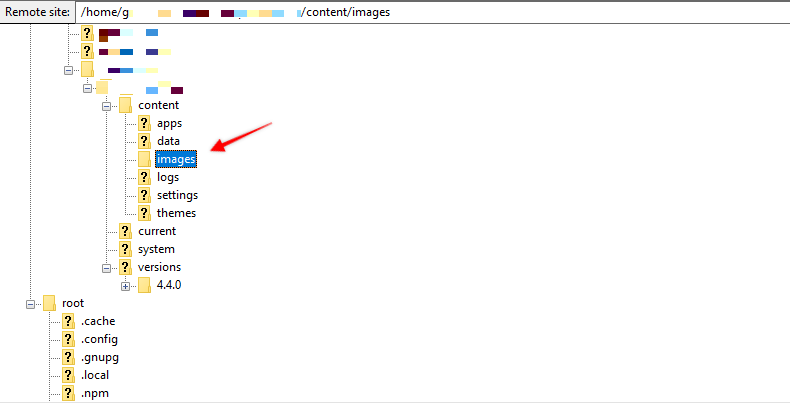 Download cả folder images về máy tính